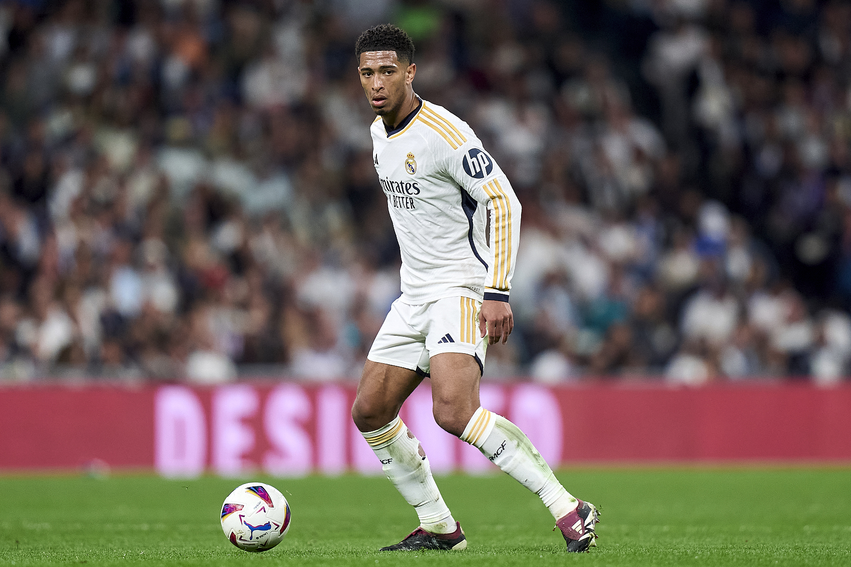 年希望的寄 年希望的寄