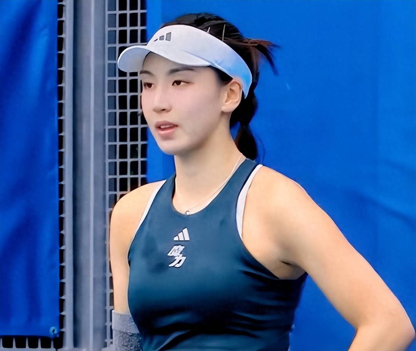 的重要备选 的重要备选