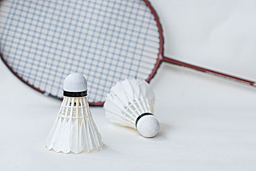 两周样本 两周样本